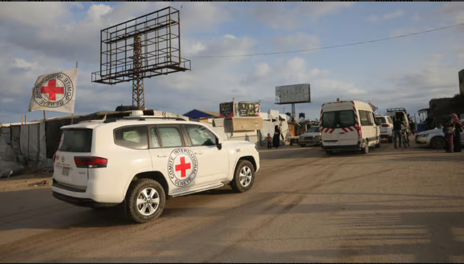 רכבי הצלב האדום בעזה. השחרור - תוך 72 שעות מנסיגת צה״ל. צילום: Bashar TALEB / AFP